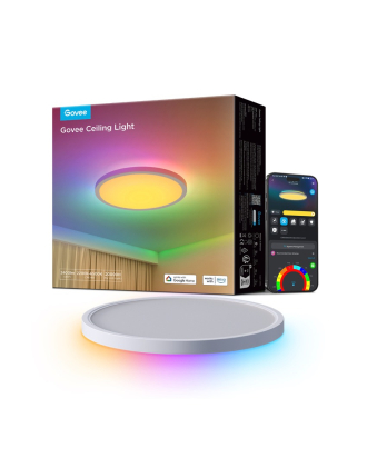 Round Smart Ceiling Light 12 inch