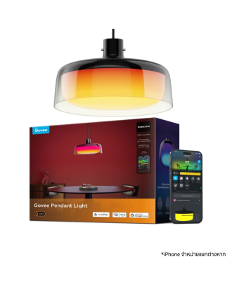 Pendant light