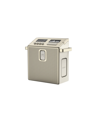 Speaker Medium