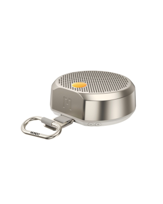 Speaker Small