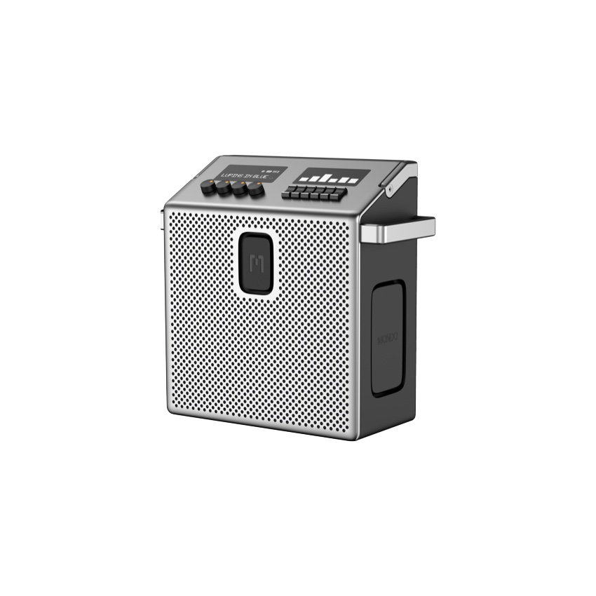 Speaker Medium