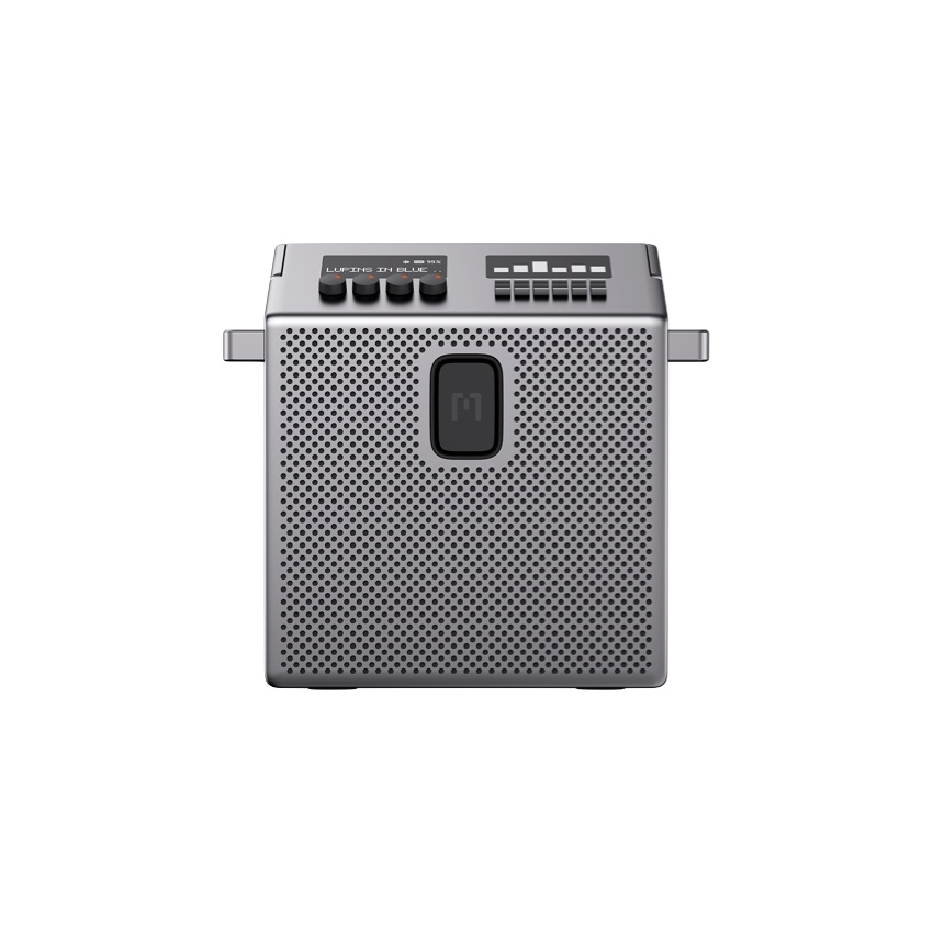 Speaker Medium - Metal Gray