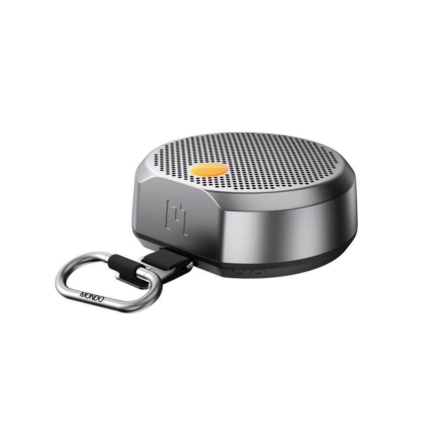 Speaker Small